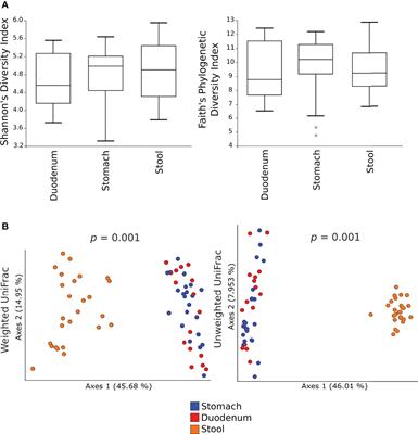 The Potential Role of Hypochlorhydria in the Development of Duodenal Dysbiosis: A Preliminary Report